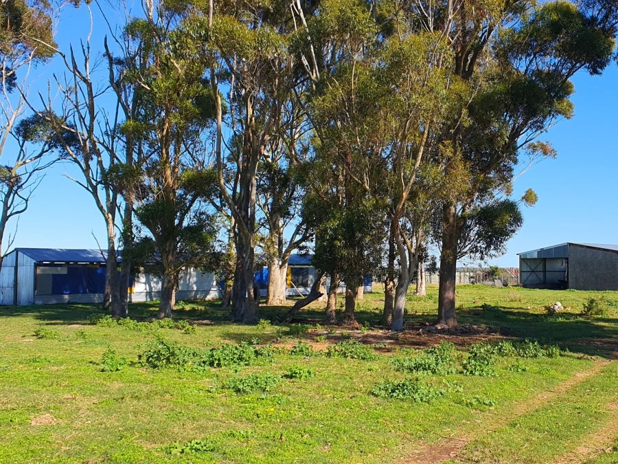 5 Bedroom Property for Sale in Grahamstown Central Eastern Cape